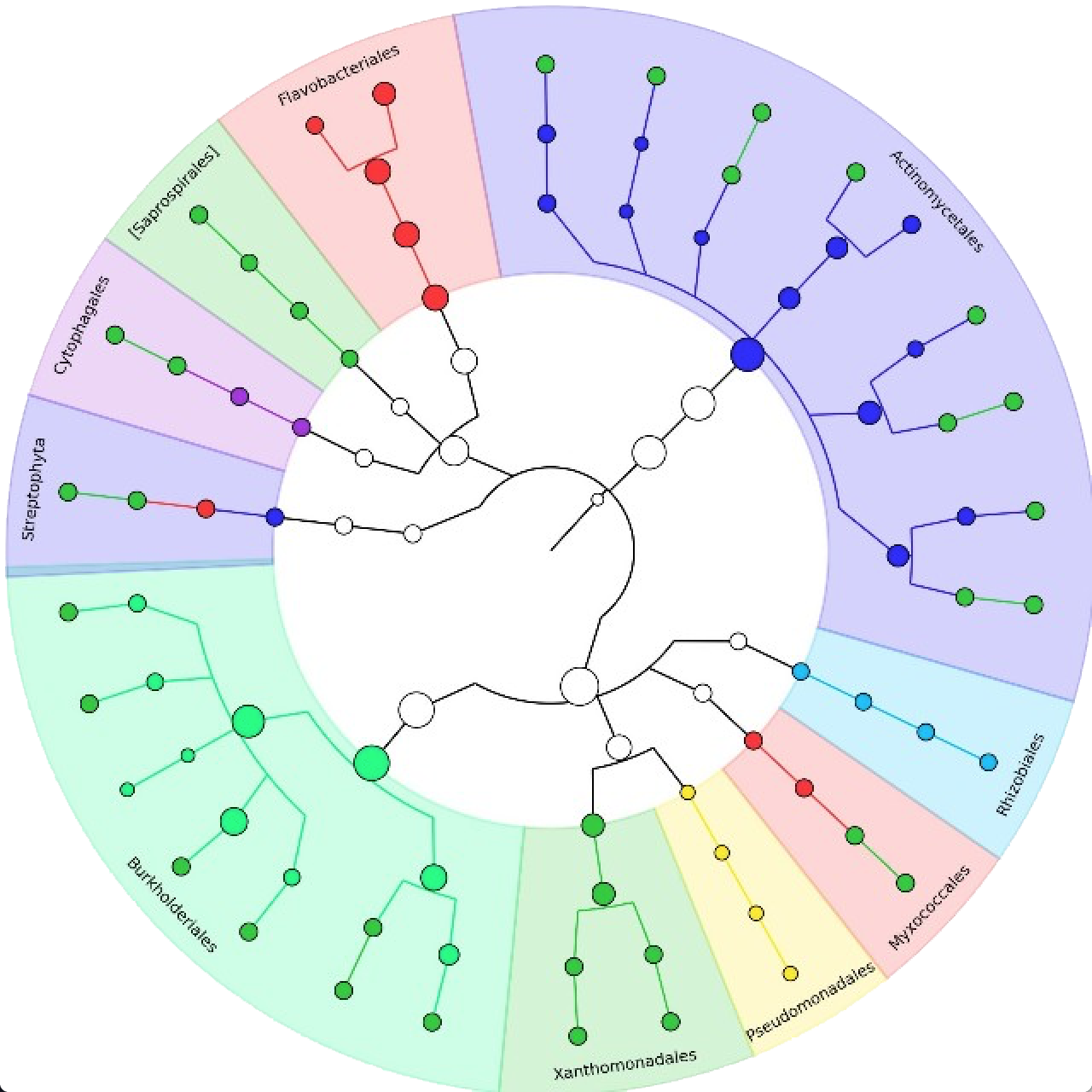 cytoscape linux
