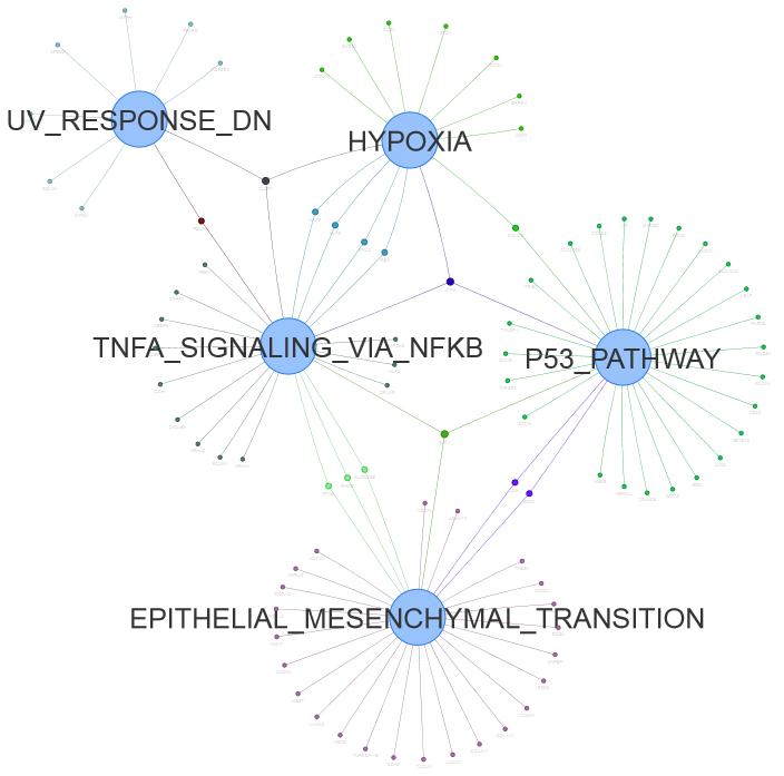 Venn network using data <DE_gene_file.txt> in example data.